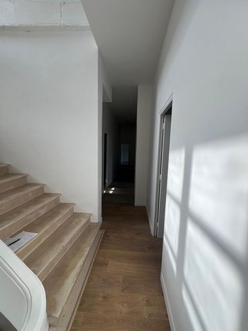 photo no. 18