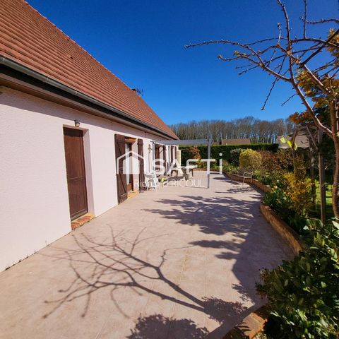photo no. 11