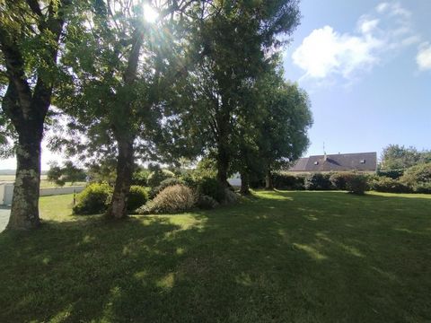photo no. 5