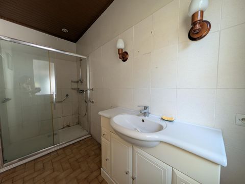 photo no. 3