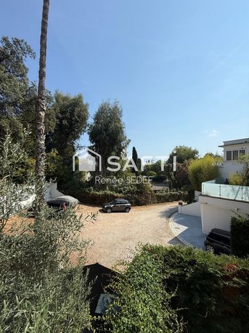 photo no. 16