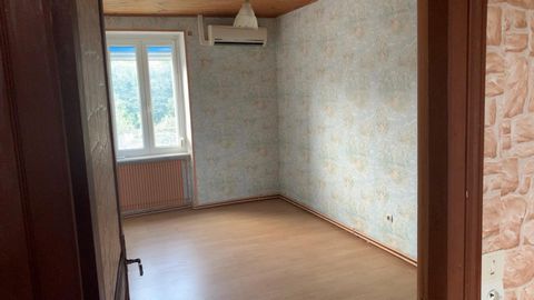 photo no. 10