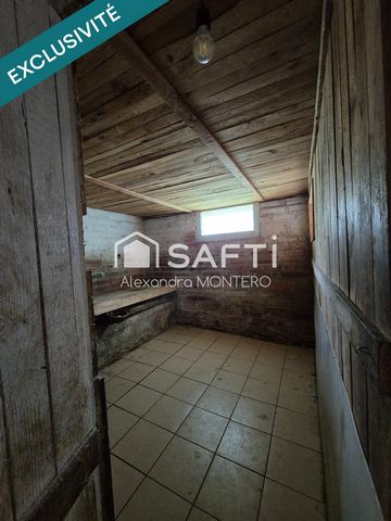 photo no. 11