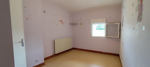 photo no. 7