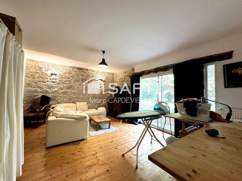 photo no. 13