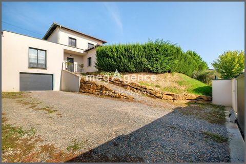 photo no. 11