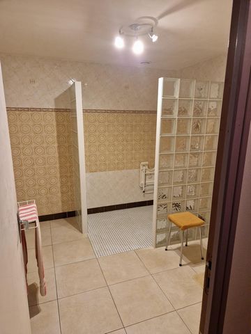 photo no. 11
