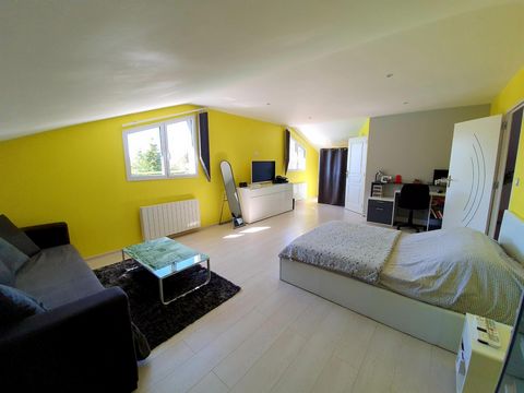 photo no. 10
