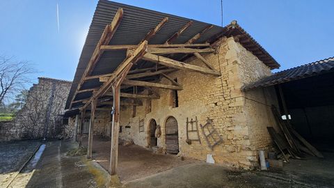 photo no. 16