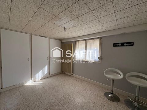 photo no. 15