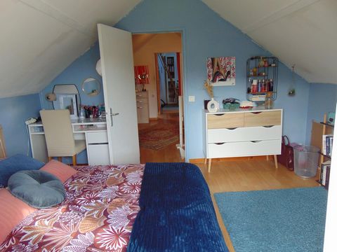 photo no. 8