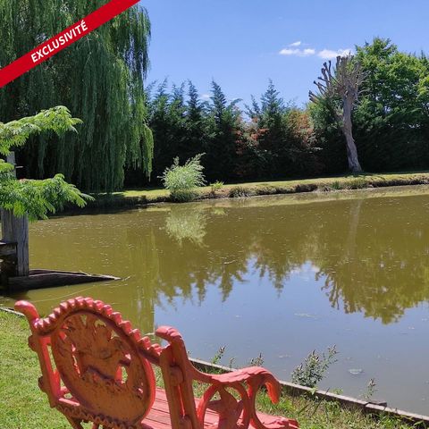 photo no. 10