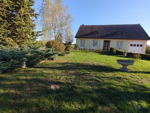 photo no. 10
