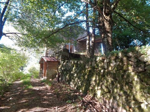 photo no. 18