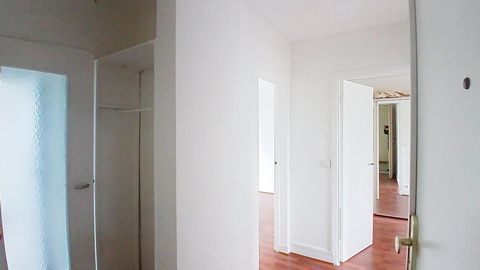 photo no. 6