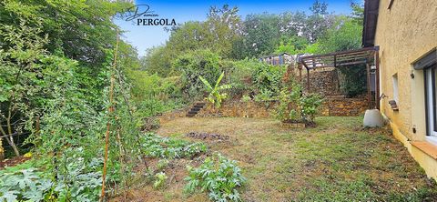 photo no. 12