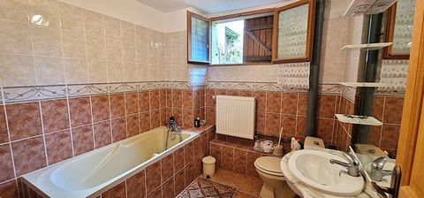 photo no. 10
