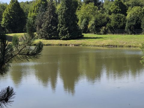 photo no. 8