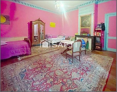 photo no. 11