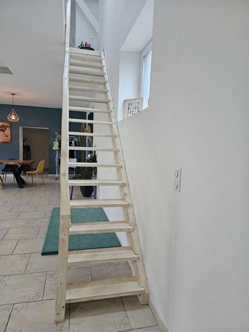 photo no. 16