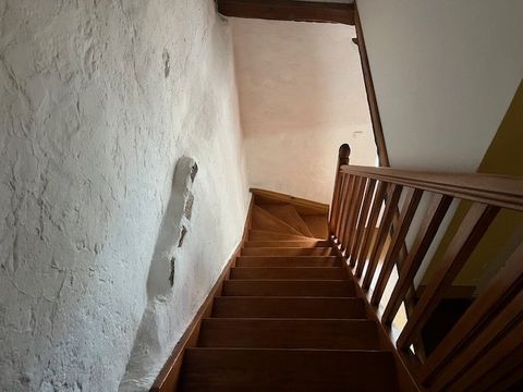 photo no. 11