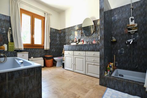 photo no. 12