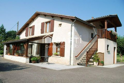 photo no. 2
