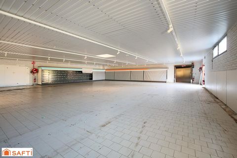 photo no. 2