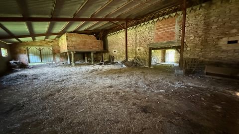 photo no. 16