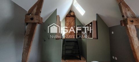 photo no. 12