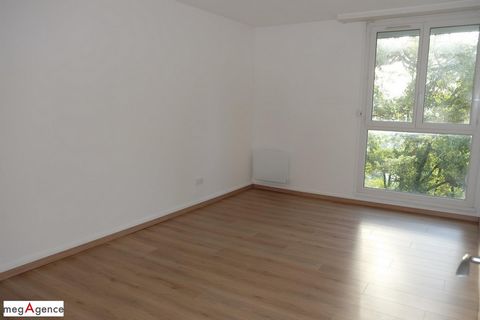 photo no. 6