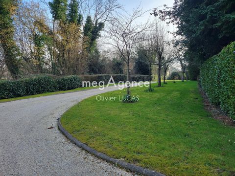 photo no. 15