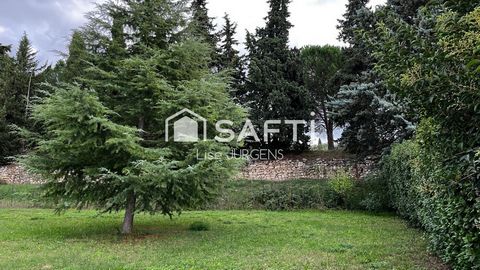 photo no. 2