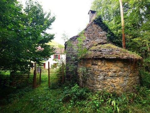 photo no. 14