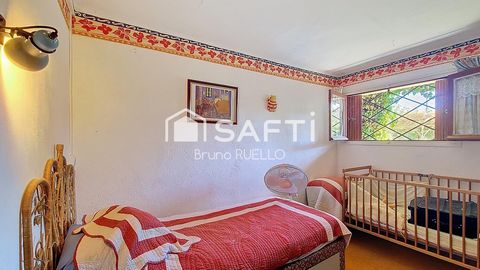 photo no. 12
