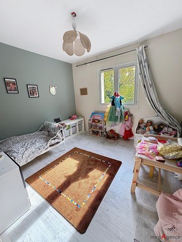photo no. 11