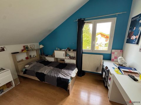 photo no. 12