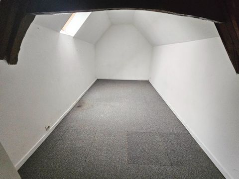 photo no. 6