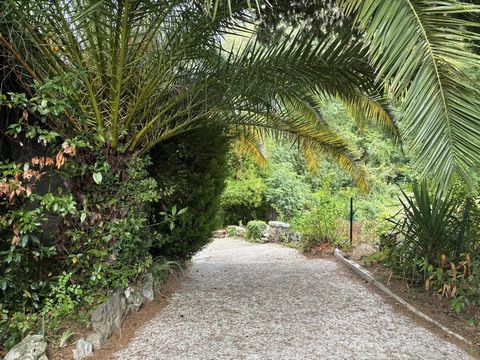 photo no. 13