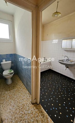 photo no. 8