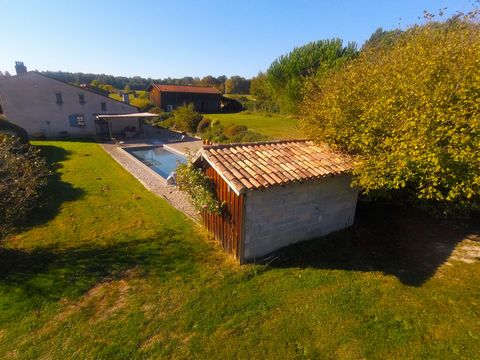 photo no. 16