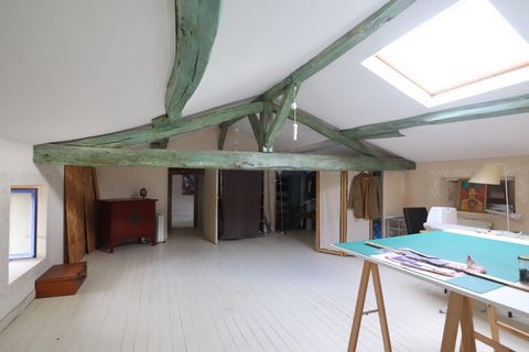 photo no. 12
