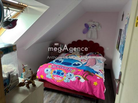 photo no. 15