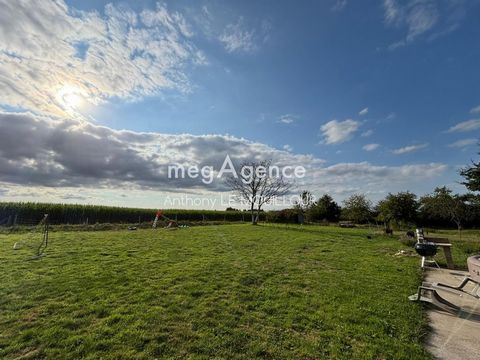 photo no. 17
