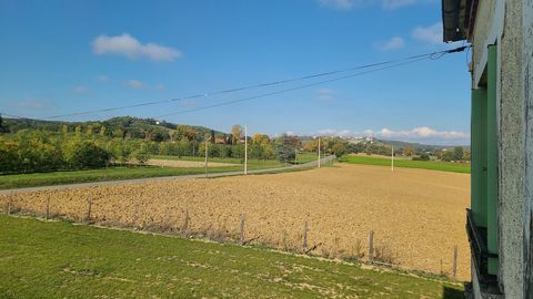 photo no. 15