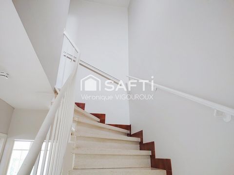 photo no. 2