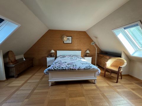 photo no. 16