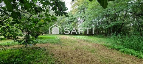 photo no. 12