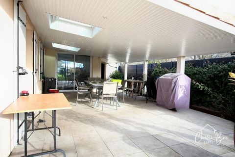 photo no. 15