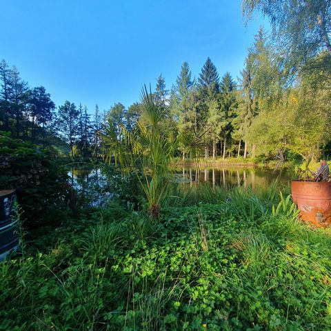 photo no. 10